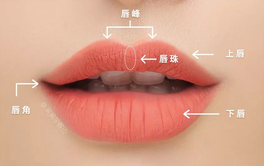 看看自己嘴型适合怎么涂口红,怎么让嘴唇涂完口红后显得很水润