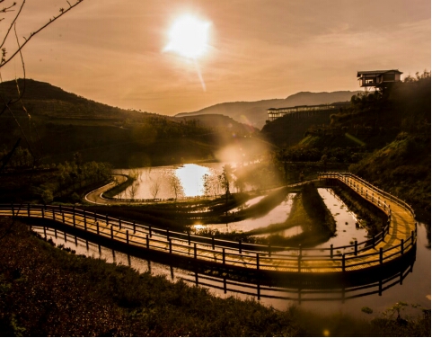 鍏嬩緷榛戠伀鎶婅妭绡濈伀鏅氫細,鍏嬩緷榛戠伀鎶婅妭鐜板満鐩存挱