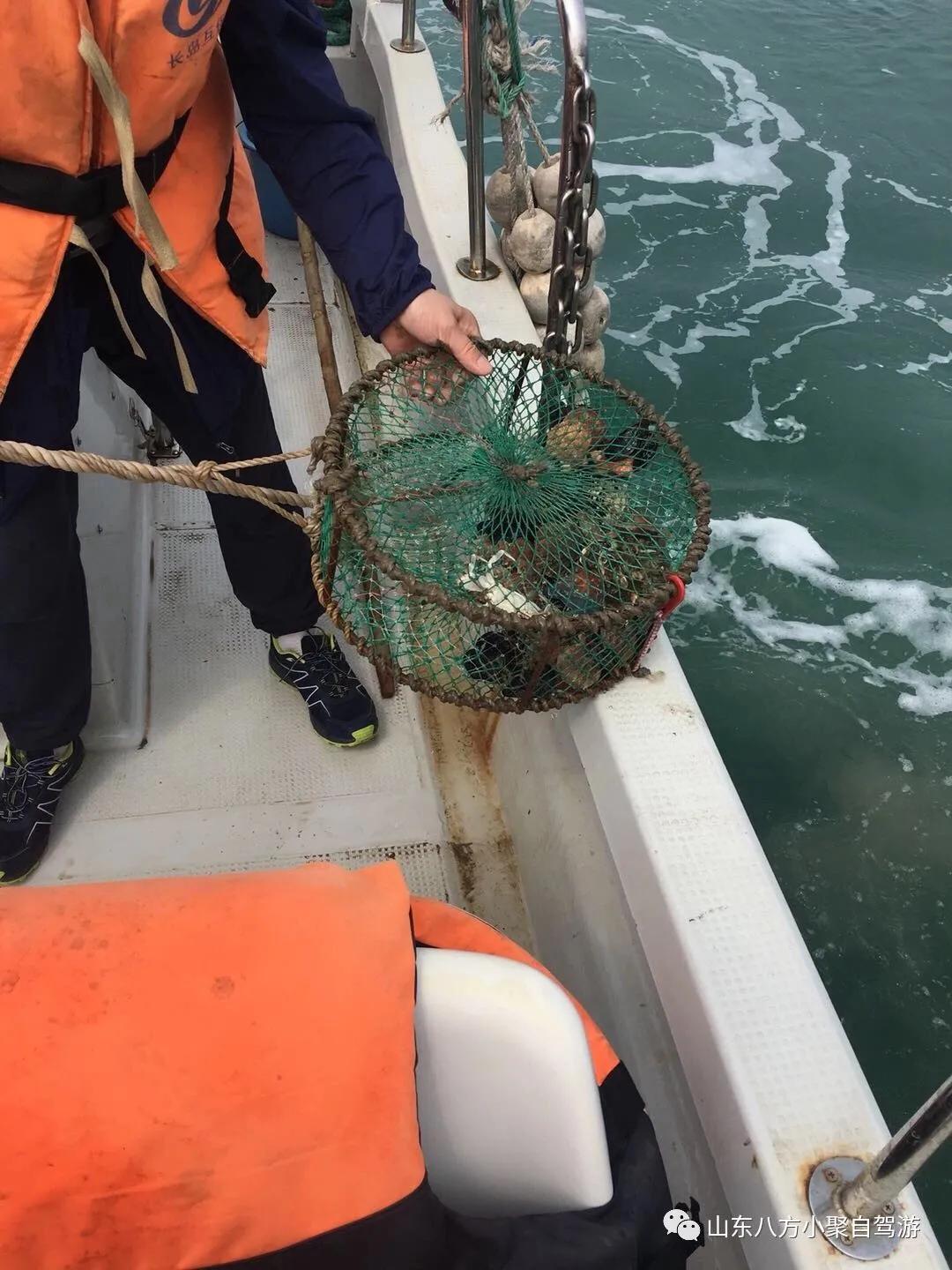 潍坊自驾游攻略美食,潍坊海边一日游自驾游