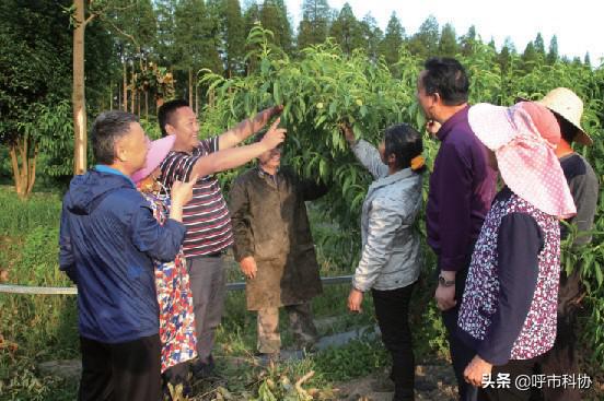 科技科普志愿者,全国优秀科普科技工作者