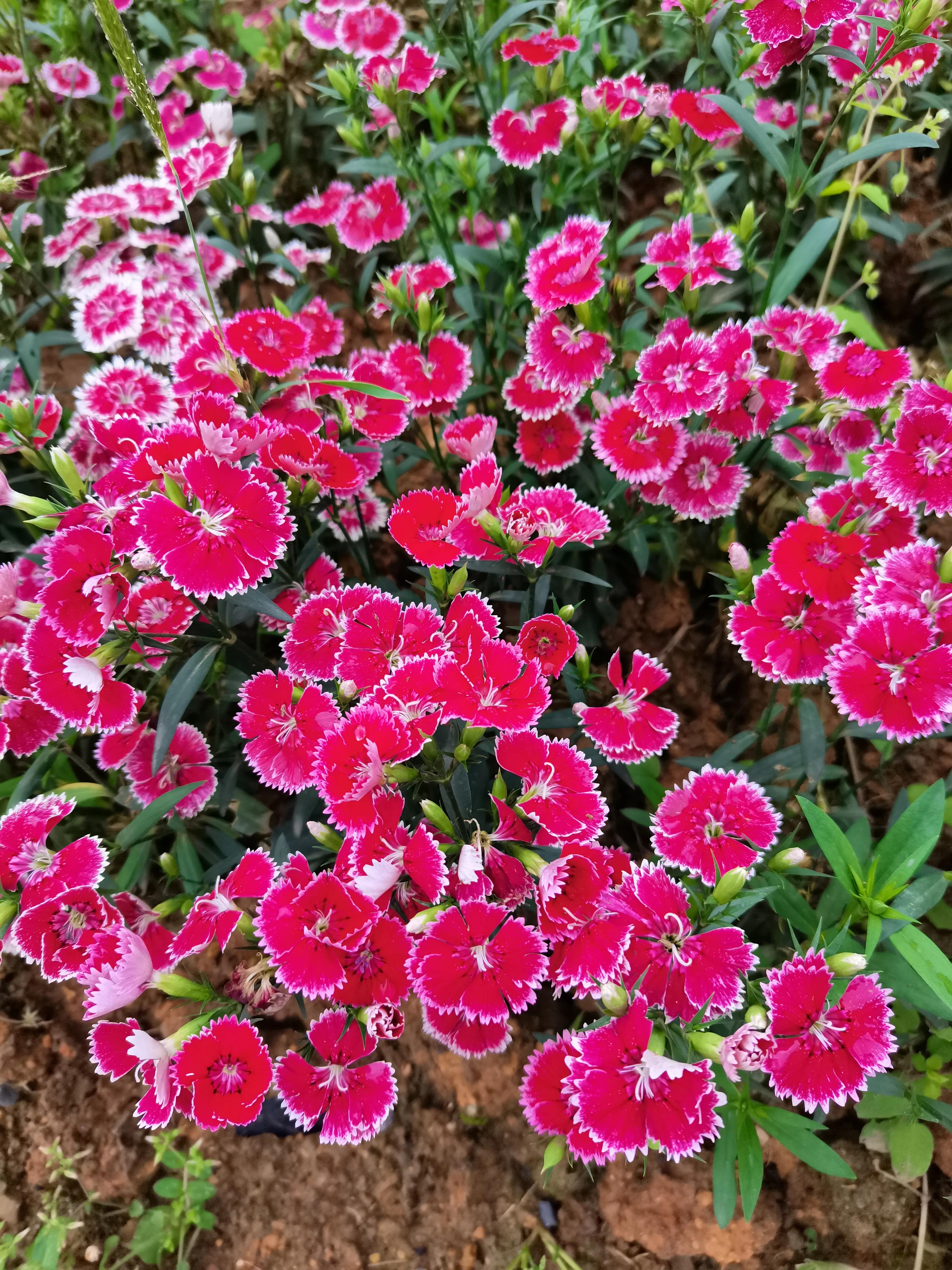 商场看购物小票,超市购物后你看小票吗