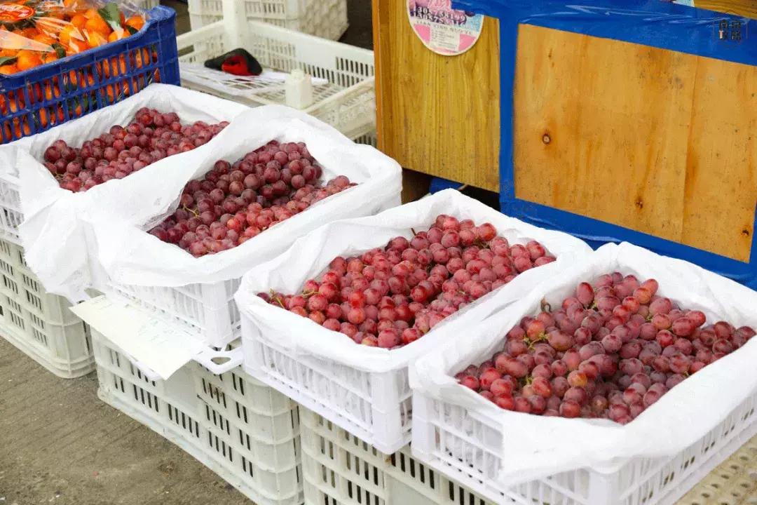 众彩物流公司年货,众彩物流年货大集