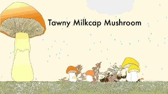 ipad哪些app可以让孩子学习,ipad如何让孩子只玩一个app