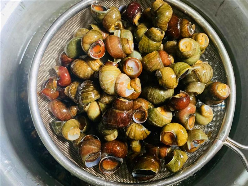 洗田螺都是粘液,洗田螺为什么要放油
