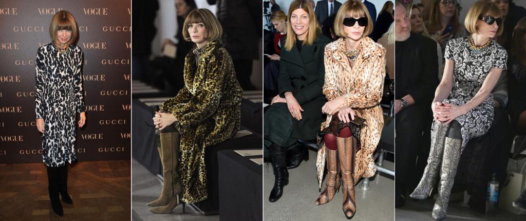 dior璞圭汗鐨崏,dior璞圭汗濂抽瀷