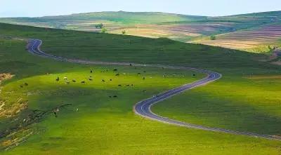 坝上三大景点,坝上草原是丰宁还是围场的