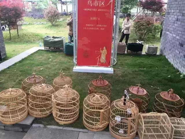 你错过了10年前的金阳，你还会错过现在的双龙吗？