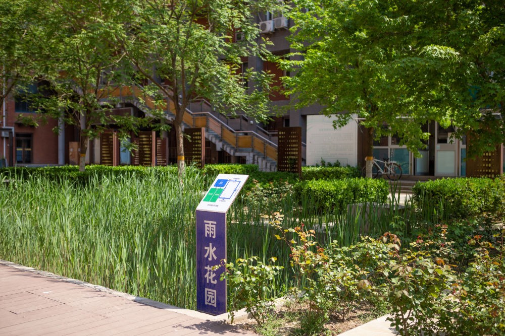 央视新闻点评交大,央视点赞新华社