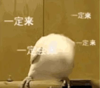 电音群,电音组合成员排行榜