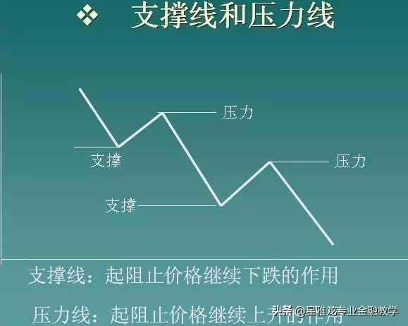 星雅龙深度分析,星雅龙课程怎么样