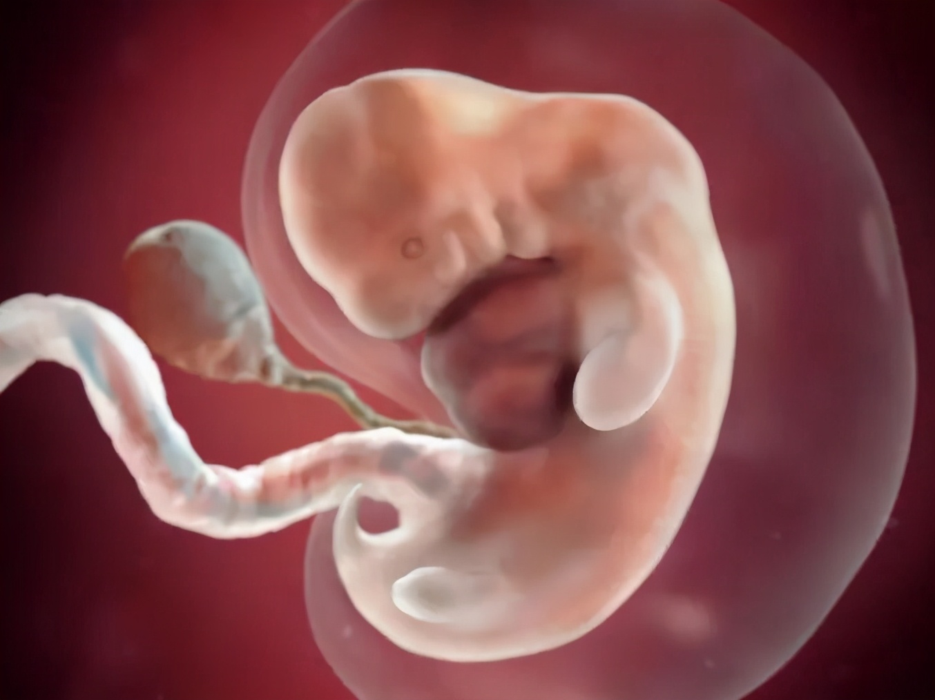 40岁胡杏儿孕照,胡杏儿7个月孕肚大片