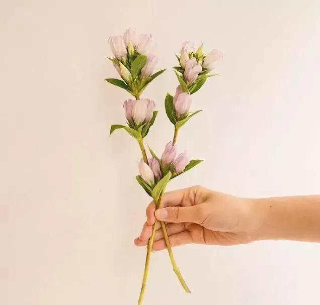 问候情人早安晚安暖心话,跟情人说晚安暖心话的句子