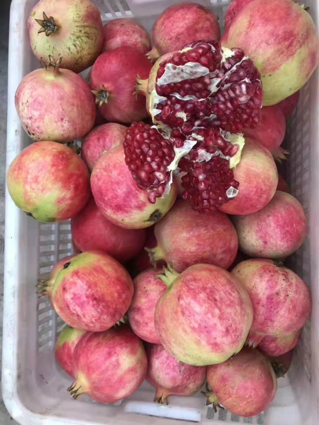 浼氱悊鐭虫Υ涓婂競鐨勫鑺傛槸鍑犳湀,浼氱悊鐭虫Υ涓婂競鏃ユ湡