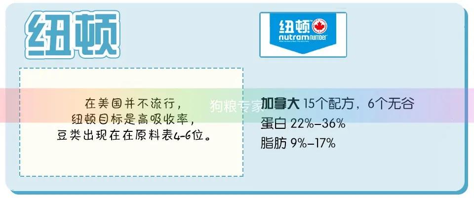 wdj鎺ㄨ崘鐨勭嫍绮帓琛屾,2020wdj鐙楃伯鎺掕