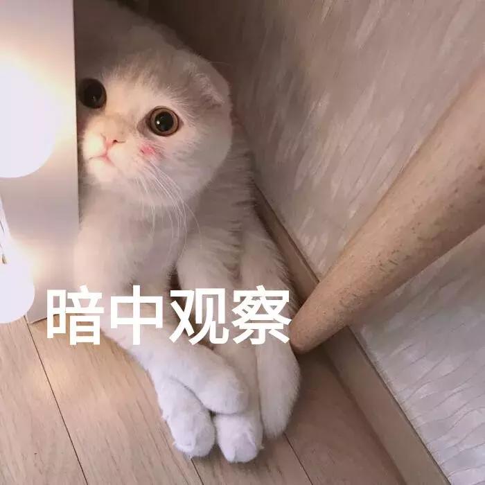 有刘海30-40岁懒人减龄扎发显脸小,除了齐刘海长脸型还适合什么刘海