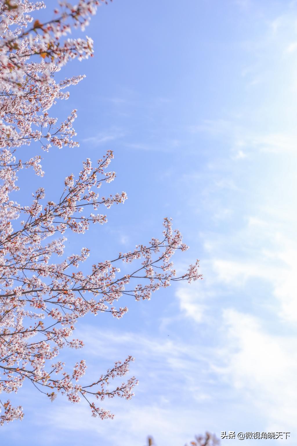 信阳师范学院：回眸但觉烟色浅，不知春意入师院