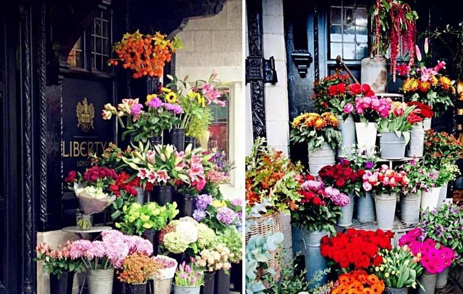 开一个花店指南,如果你也想开一家花店书籍