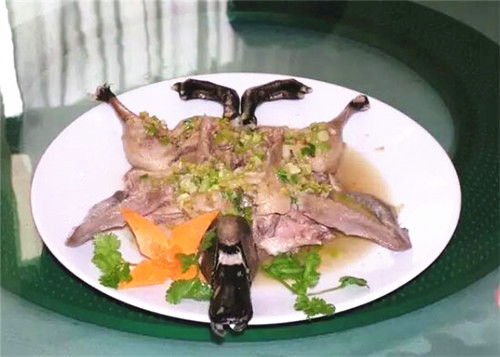 白鹭鸭中国哪里有,我国优秀鸭种