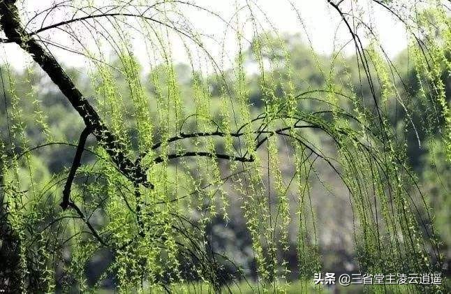 童年记忆中摇曳的风筝,儿时的风筝有谁能记住