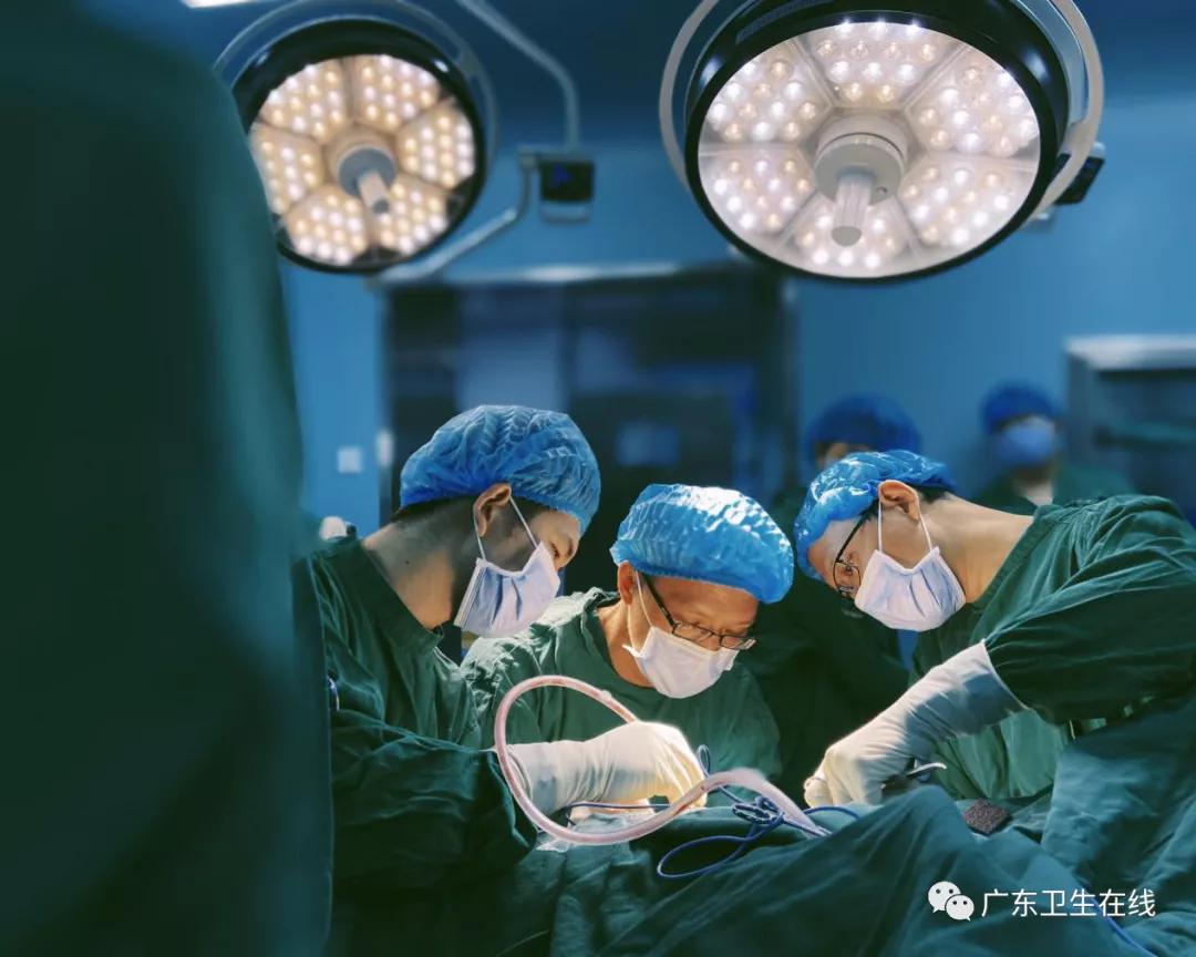 做强“龙头”、做实基层，台山县域医共体建设迎来新飞跃