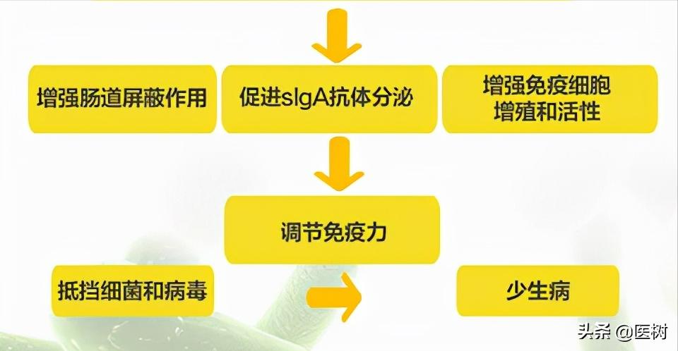 益生菌为什么比较贵,益生菌的好评越来越多