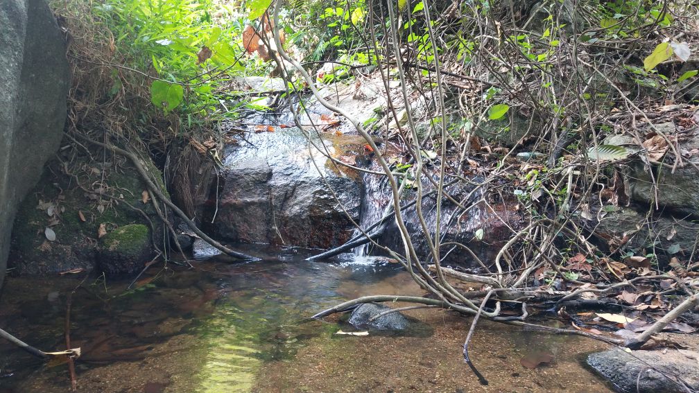 深圳羊台山风景区,深圳羊台山