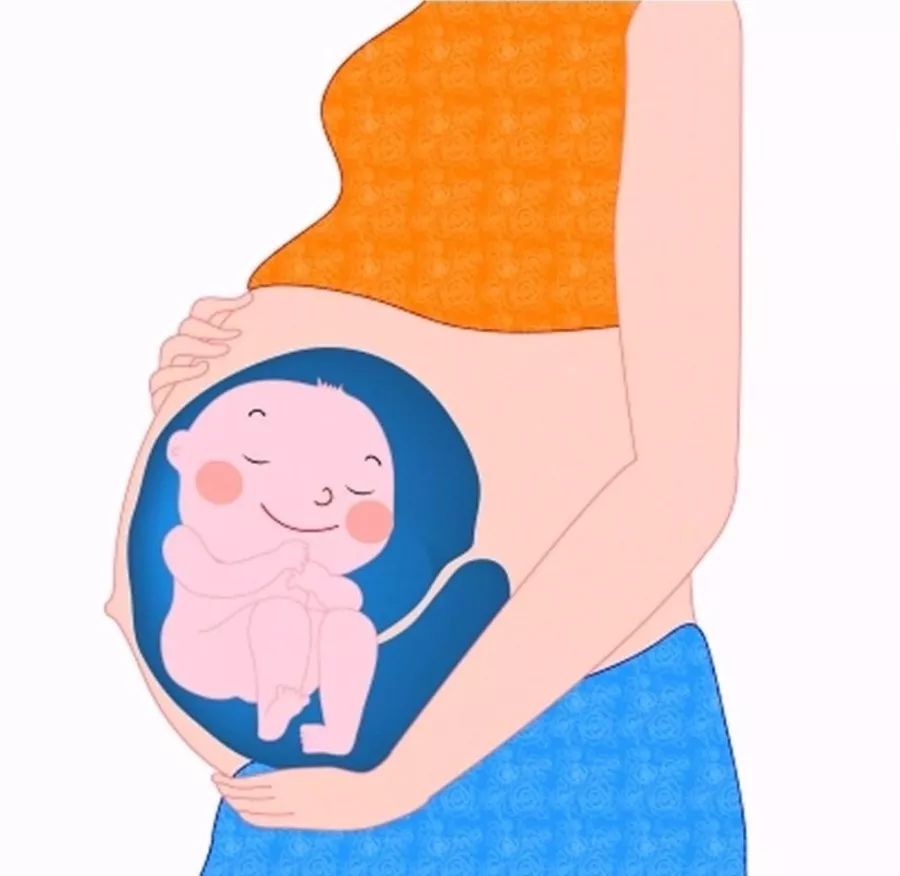 女性尿*禁失**等“难言之隐”和它有关，年轻时就要预防