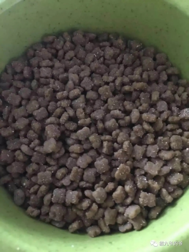 猫九爷:霉菌毒素对犬猫的危害!?