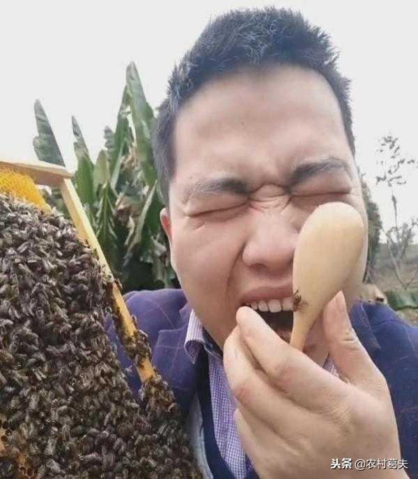 被蜜蜂蛰了以后注意事项,在野外被蜜蜂蛰了怎么办