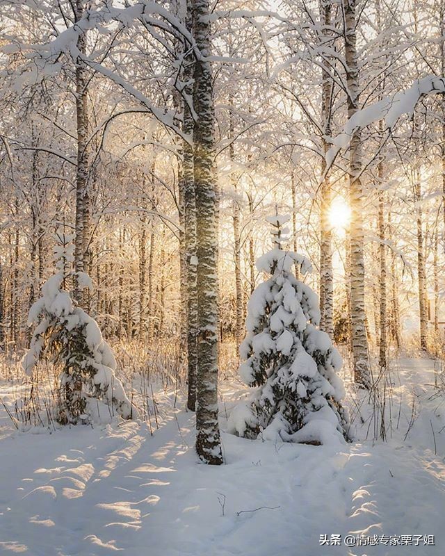 你老婆是胡搅蛮缠，你是老实窝囊