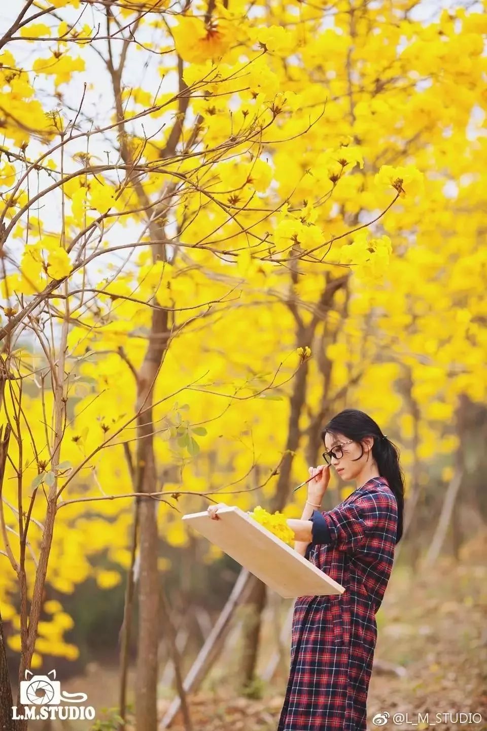 广西有座小城,广西这个宜居小城很低调