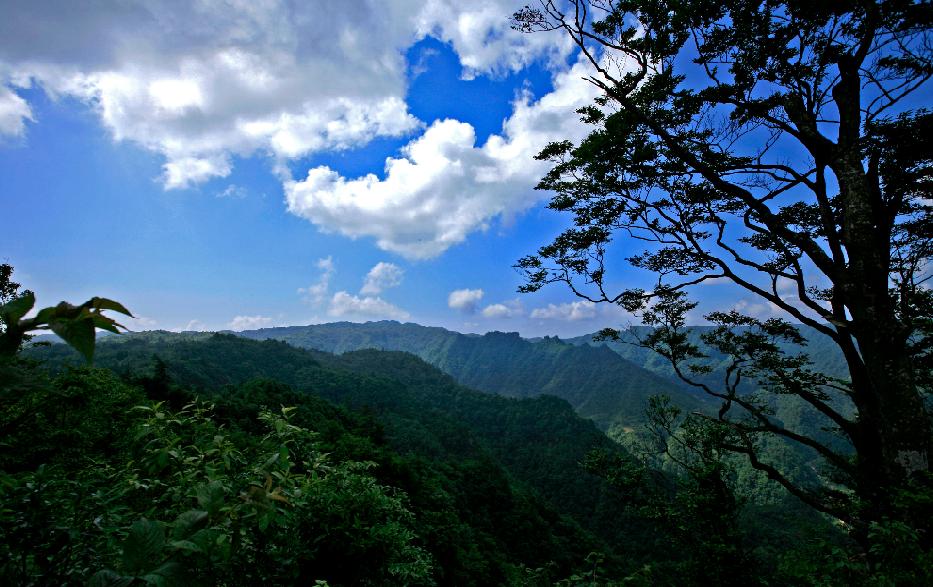 重庆周边露营耍水的地方避暑,重庆夏日避暑好去处两天一夜