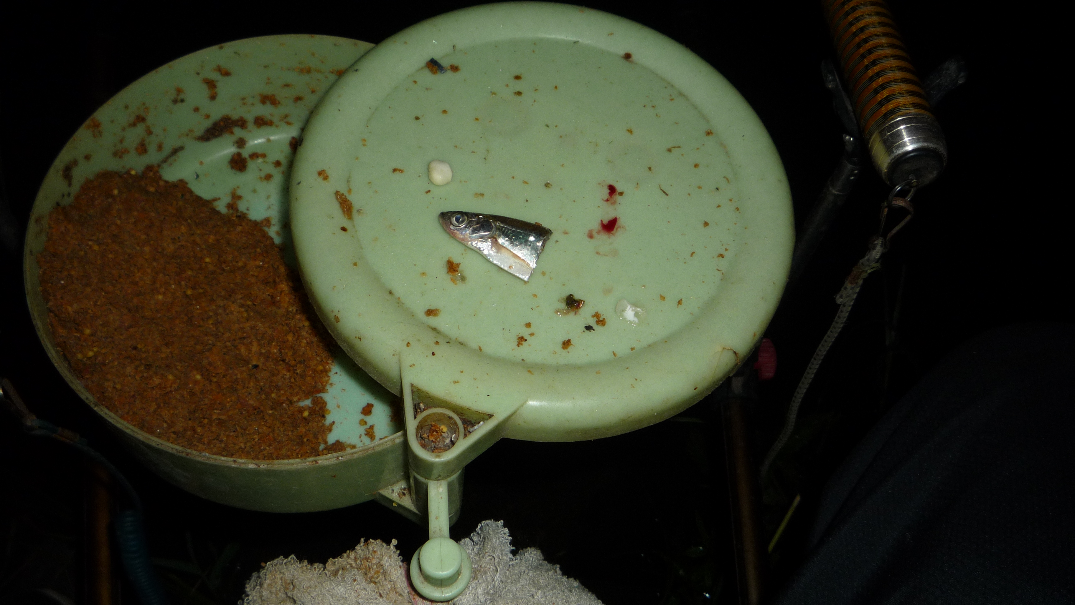 新手野钓用什么饵最好,深水野钓用饵技巧