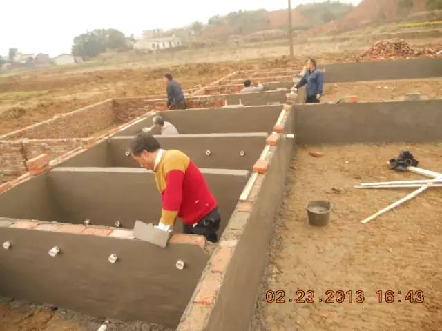 湖南最好的锦鲤养殖基地,湘潭锦鲤养殖