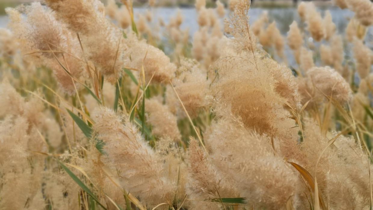 衣服黑点清洗小妙招,衣服黑点怎么洗掉