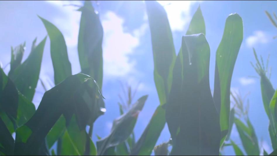 广特播报栏目,广特播报上海