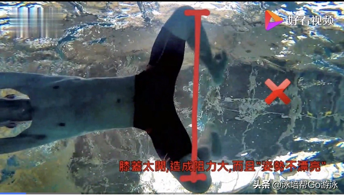 如何快速提高蛙泳速度,新手蛙泳怎么能快速提高速度