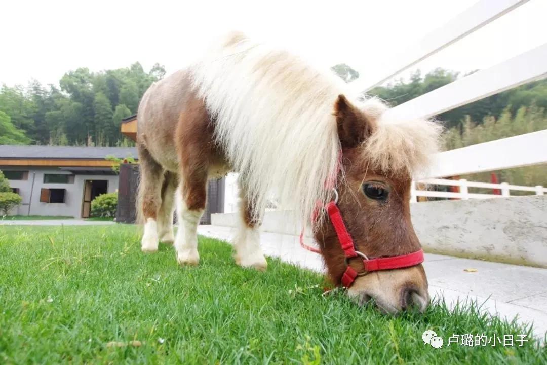 度假胜地推荐享受悠闲度假时光,国庆假期必打卡度假胜地
