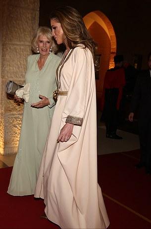 卡米拉佩戴戴安娜胸针惹非议 (卡米拉穿丝绒长裙)