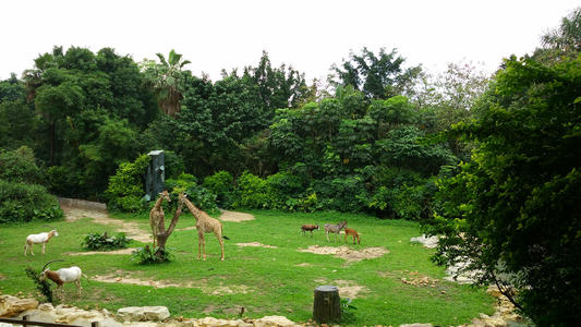 寒假云南旅游6天5晚亲子游攻略,寒假厦门亲子游攻略路线图片大全