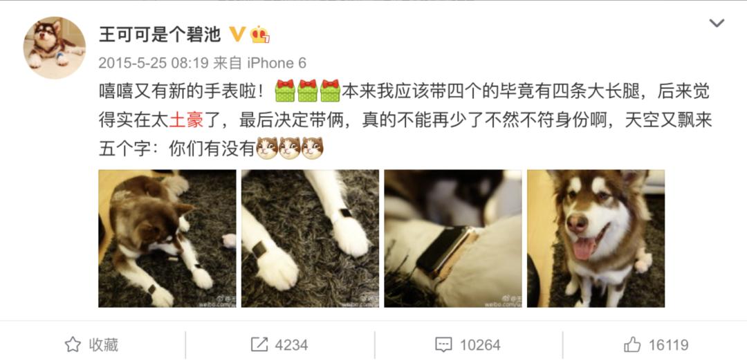 王思聪传统男人gif,传统男人特点