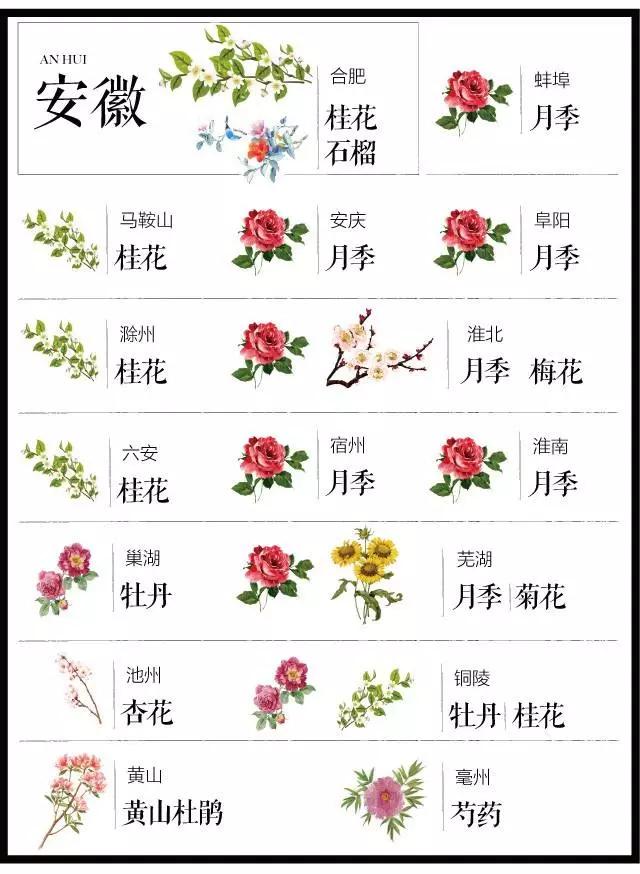 全国各个城市的市花一览表,十大城市的市花