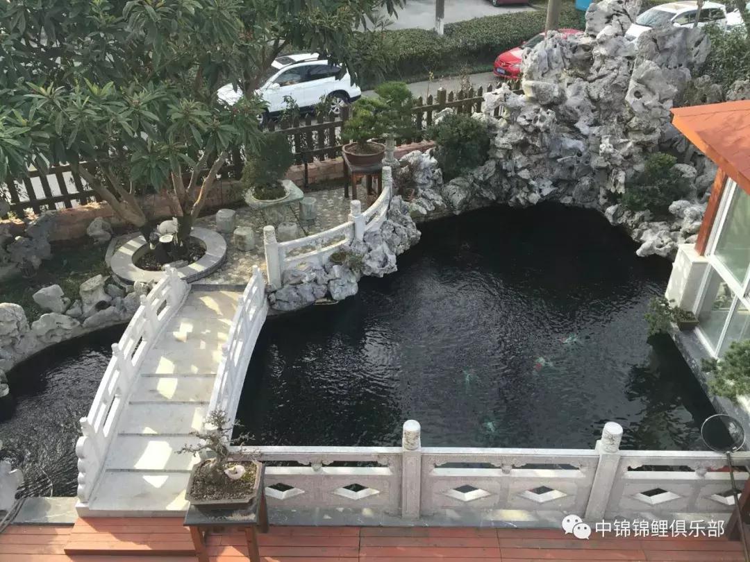 北京室外地上鱼池怎么过冬,东北户外鱼池过冬