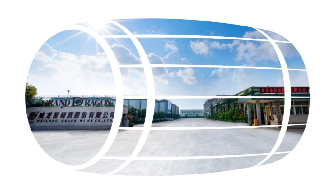 威龙干白葡萄酒热销第一名,威龙顶级葡萄酒