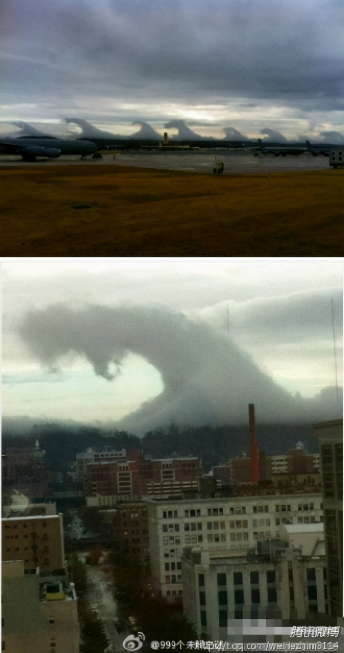 神秘海底生物未解之谜大记录,迷你世界神秘生物未解之谜