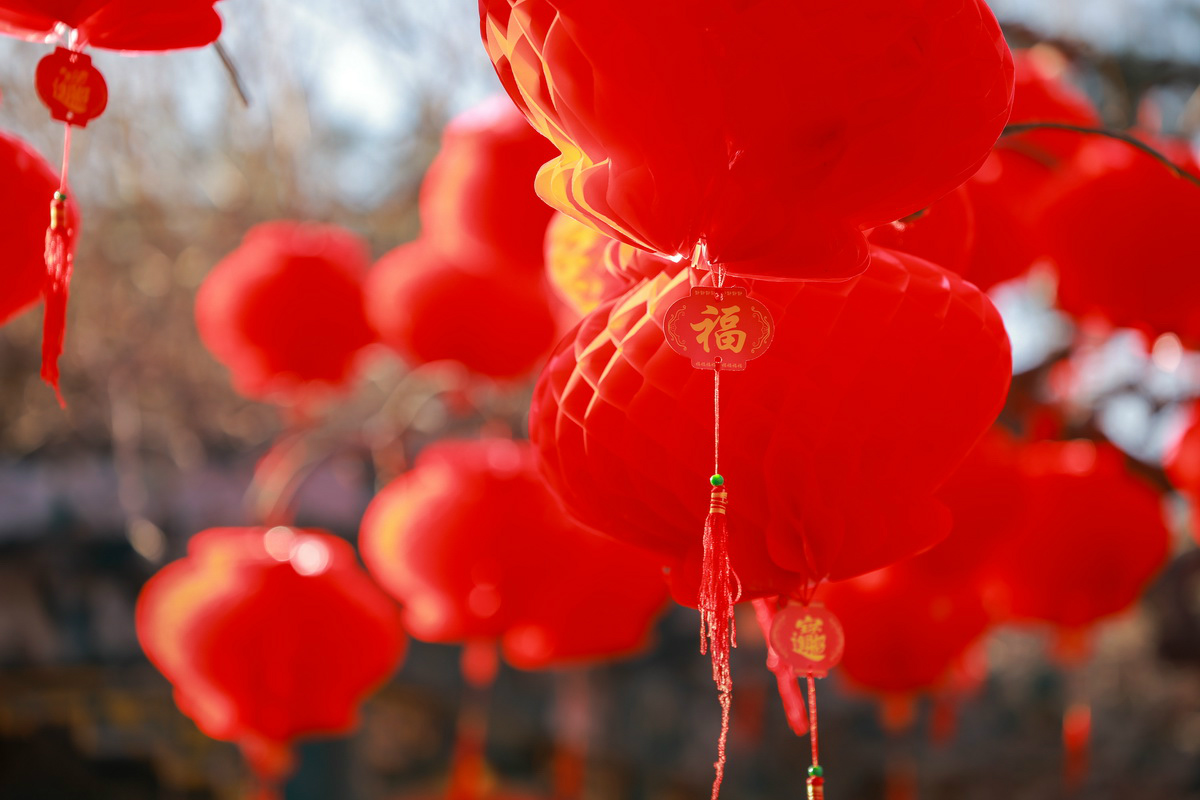 史上最轻便长焦利器佳能RF70-200mmF4L镜头评测