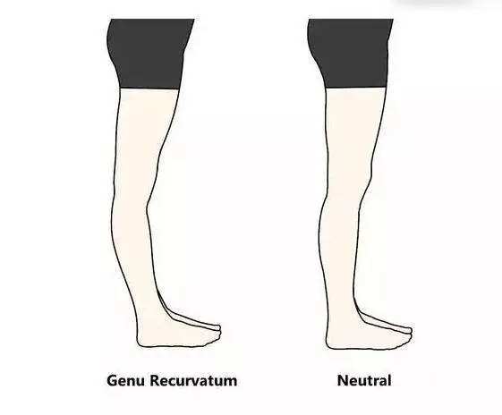 瑜伽教练初级训练动作视频,瑜伽教培班108个入门体式