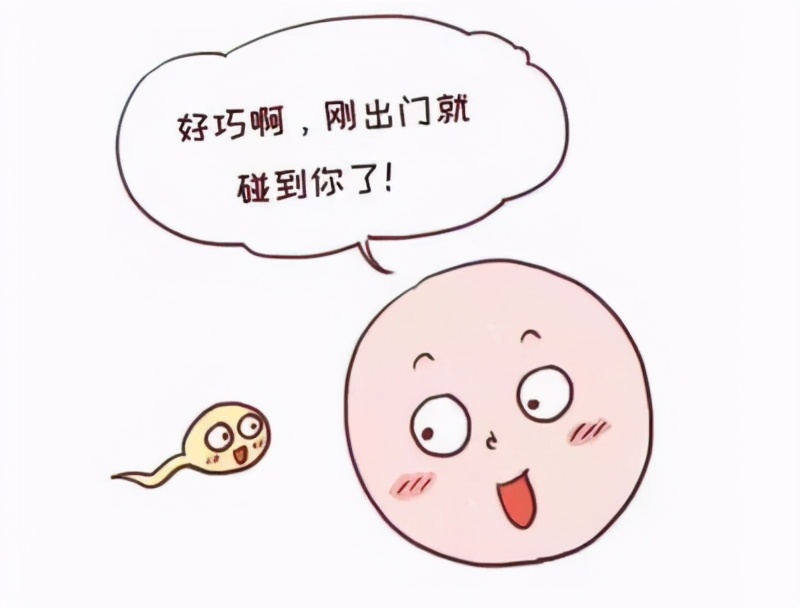 如何科学备孕课件,科普如何怀孕