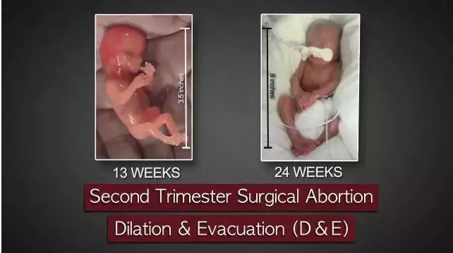 男用避孕药通过试验，网友：叫刘阳打针，半藏森林你不用吃药了