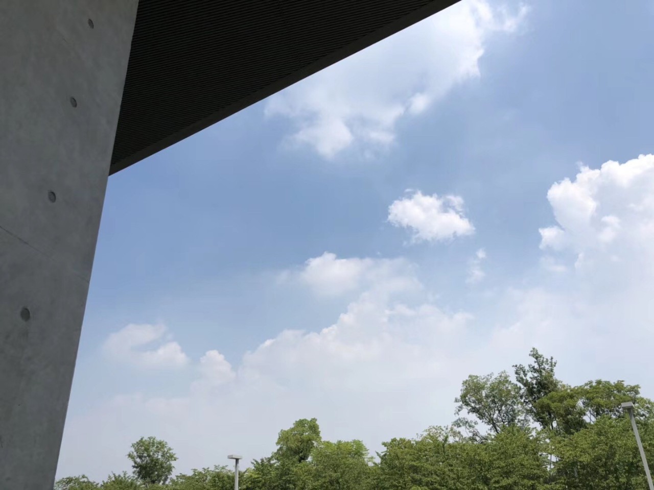 这是高晓松送给杭州的礼物,实名羡慕杭州市民!